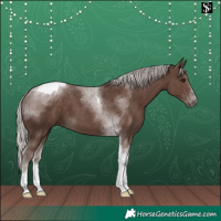 Horse Color:Silver Black Tobiano