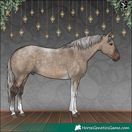 Horse Color:Silver Brown Dun Tobiano Rabicano 