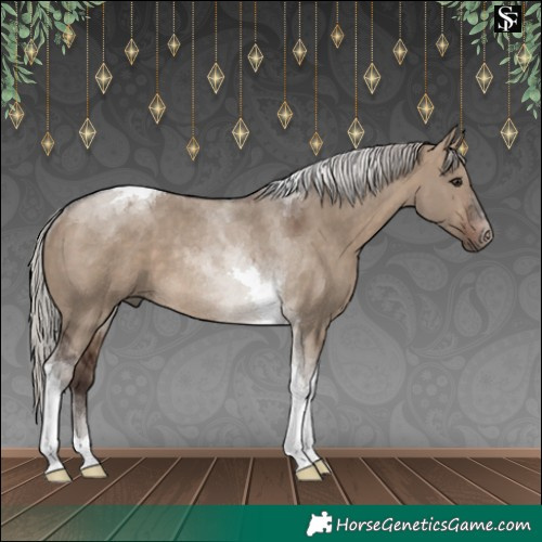 Horse Color:Silver Brown Dun Tobiano Rabicano 