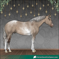 Horse Color:Silver Brown Dun Tobiano Rabicano