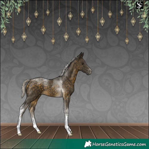 Horse Color:Silver Buckskin Tobiano