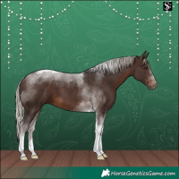 Horse Color:Silver Brown Tobiano 