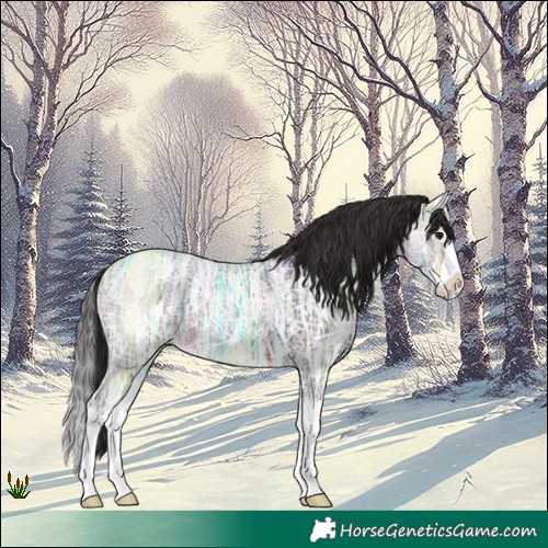 Horse Color:Brown Ice Splash 