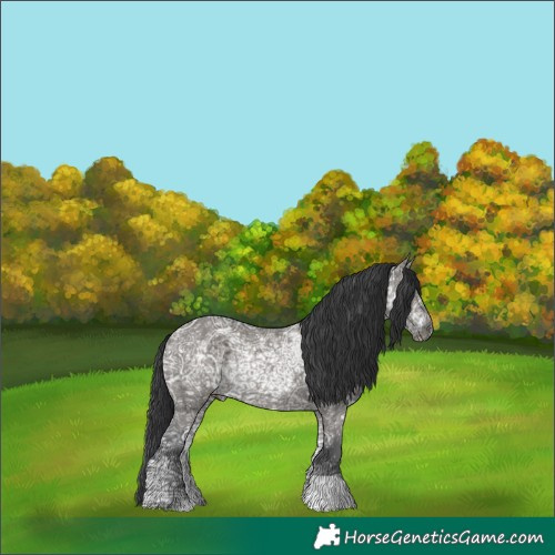 Horse Color:Grullo Ice 