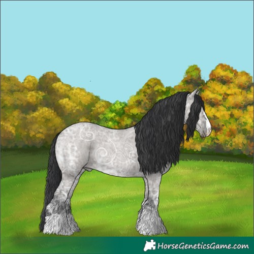 Horse Color:Grullo Ice Roan 