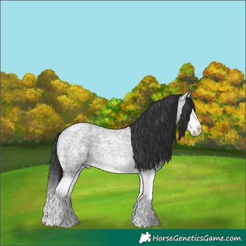 Horse Color:Blue Ice Roan Splash 
