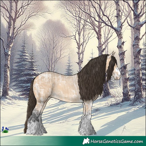 Horse Color:Buckskin Ice 