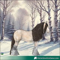 Horse Color:Buckskin Ice