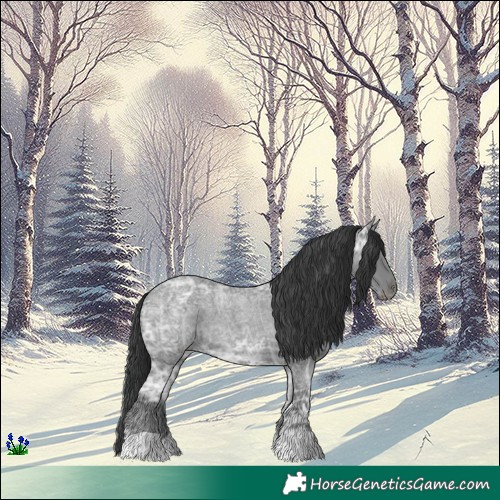 Horse Color:Blue Ice Roan 