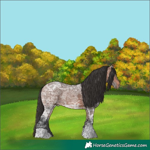 Horse Color:Bay Ice 
