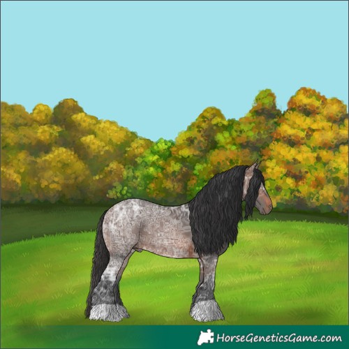 Horse Color:Brown Ice 