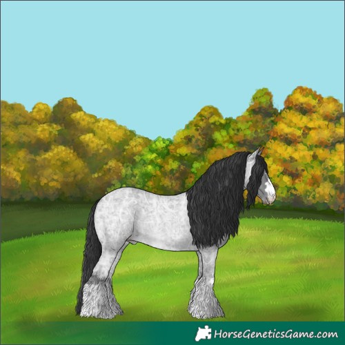 Horse Color:Blue Ice Roan 