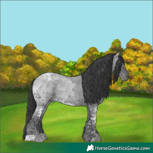 Horse Color:Blue Ice Roan Rabicano 