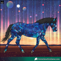 Horse Color:Black  and Smoky Black 