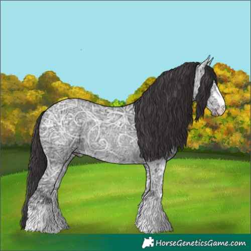 Horse Color:Smoky Black Ice Rabicano 