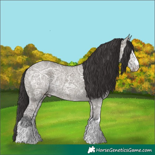 Horse Color:Smoky Grullo Ice Rabicano 