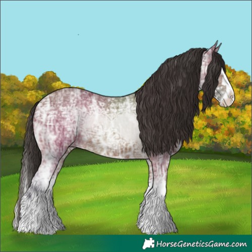 Horse Color:Bay Ice Splash Rabicano 