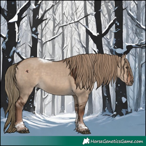 Horse Color:Unknown 