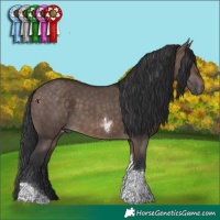 Horse Color:Brown Dun Tobiano 