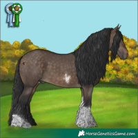 Horse Color:Brown Dun Tobiano