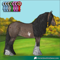 Horse Color:Brown Dun Tobiano