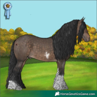 Horse Color:Brown Dun Tobiano 