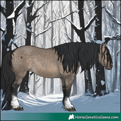 Horse Color:Unknown 
