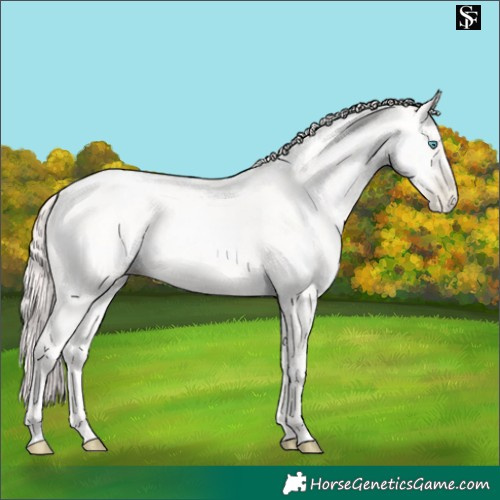 Horse Color:Amber Cream Champagne Pearl 
