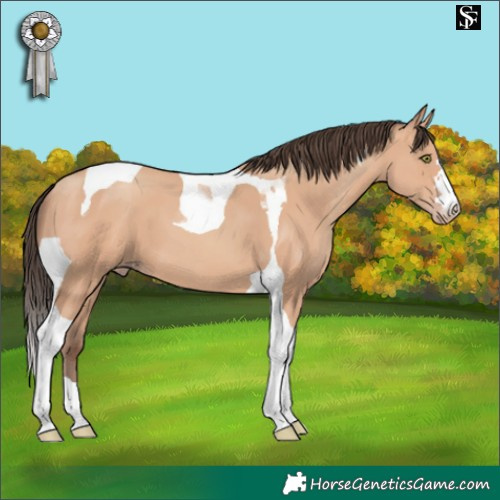 Horse Color:Amber Champagne Tobiano 