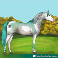 Horse Color:Watercolor Brown Dun Splash Tobiano 