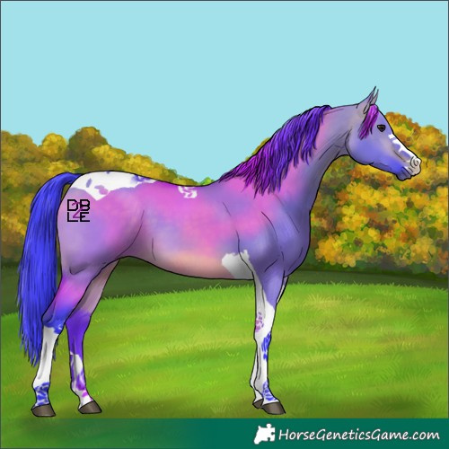 Horse Color:Watercolor Bay Dun Tobiano 