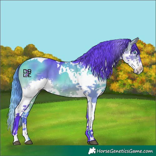 Horse Color:Watercolor Bay Splash Tobiano 