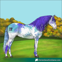 Horse Color:Watercolor Bay Splash Tobiano 