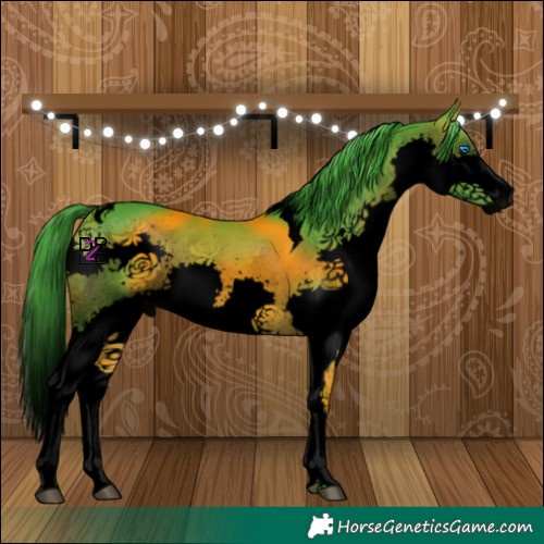Horse Color:Void Watercolor Bay Splash Tobiano 