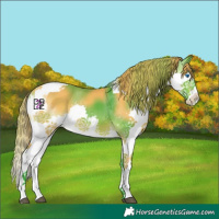 Horse Color:Watercolor Brown Splash Tobiano Varnish
