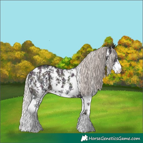 Horse Color:Midnight Silver Black Ice Sabino 