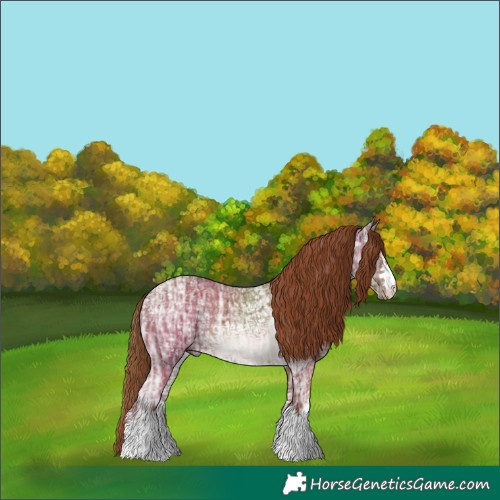 Horse Color:Chestnut Ice 