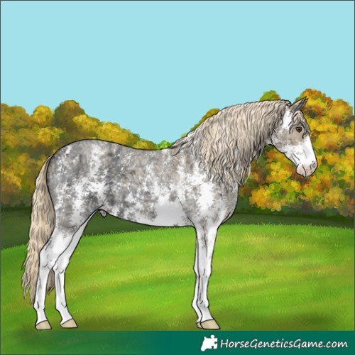 Horse Color:Chocolate Palomino Ice Roan Dun Sabino 