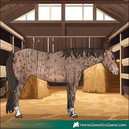 Horse Color:Brown Rabicano and Sable Champagne Rabicano