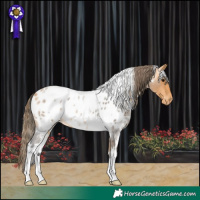 Horse Color:White Spotted Buckskin Roan Appaloosa