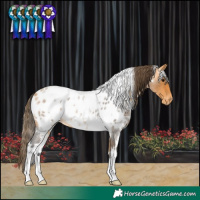 Horse Color:White Spotted Buckskin Roan Near Leopard