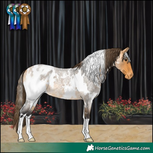 Horse Color:White Spotted Buckskin Roan Varnish 