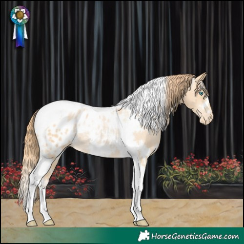 Horse Color:White Spotted Buckskin Pearl Tobiano Blanket 