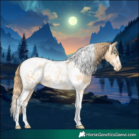 Horse Color:White Spotted Buckskin Pearl Tobiano Appaloosa 