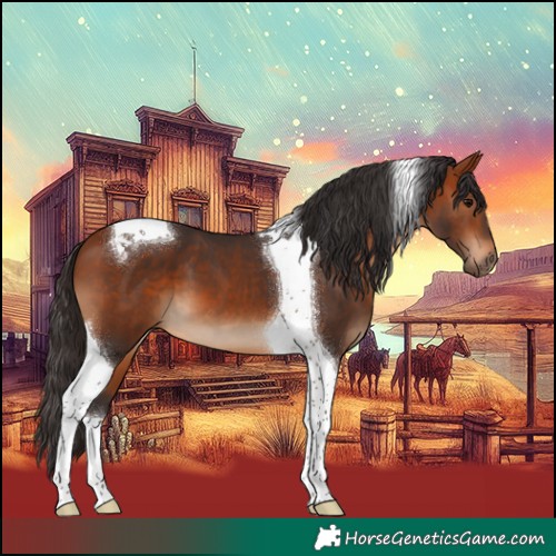 Horse Color:Bay Tobiano 