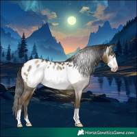 Horse Color:Gray Classic Cream Champagne Frame Near Leopard Rabicano