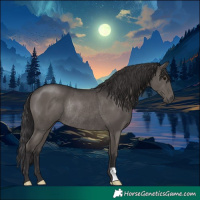 Horse Color:Smoky Black Rabicano