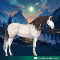 Horse Color:Sable Champagne Roan Dun Splash Rabicano