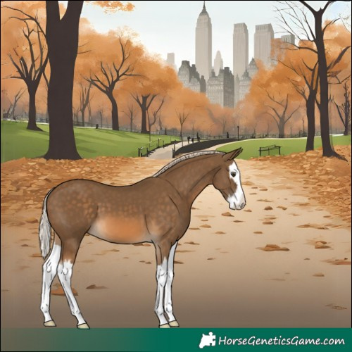Horse Color:Chocolate Palomino Splash 