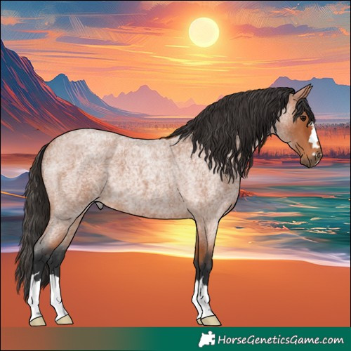 Horse Color:Bay Roan 